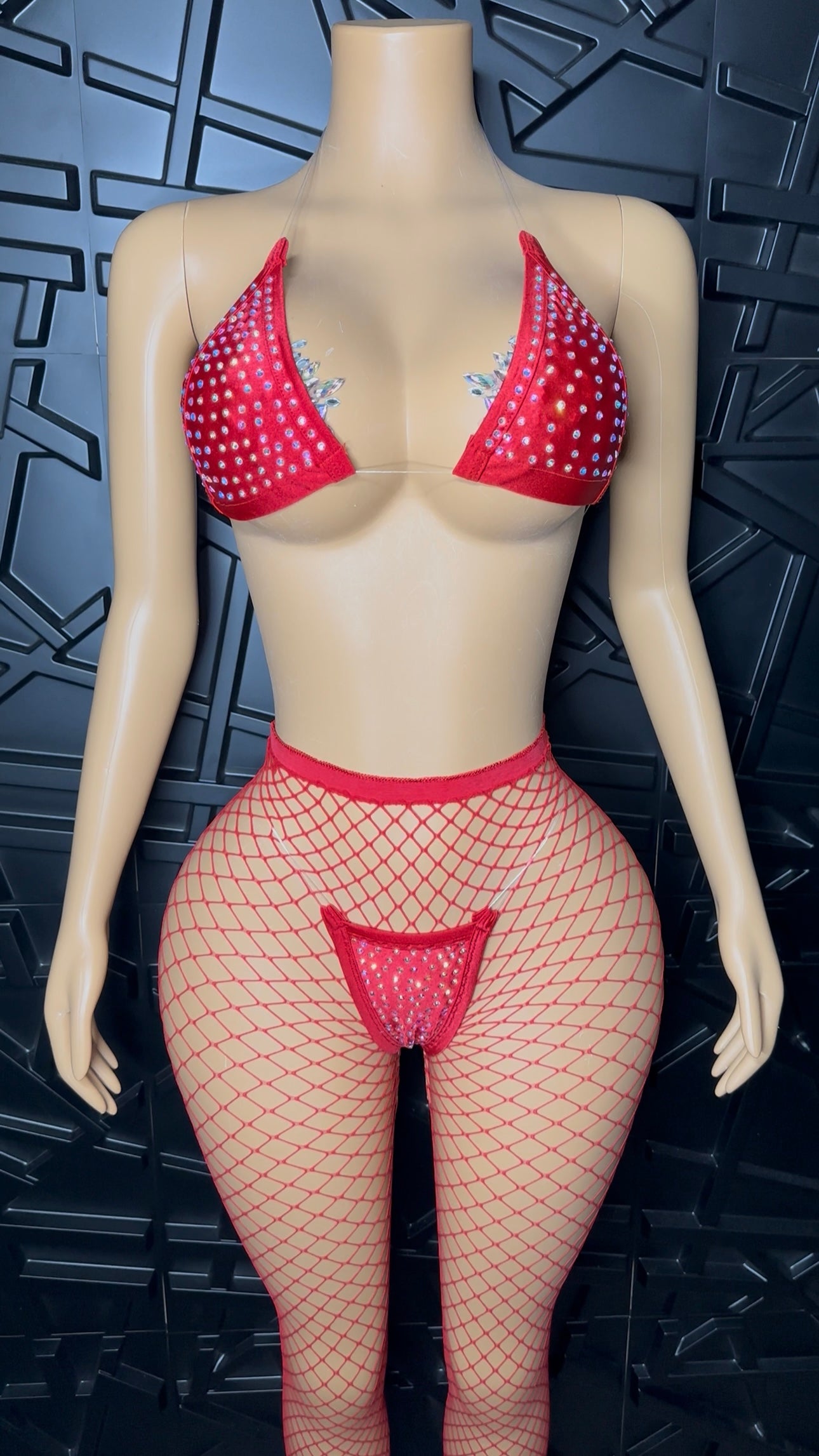 Red Icy Bikini + Pant Set (Small-Large)