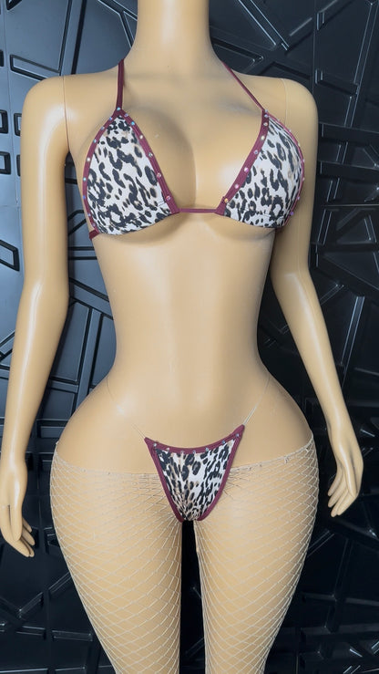 Micro Leopard Set (Small-Med) STRETCHY
