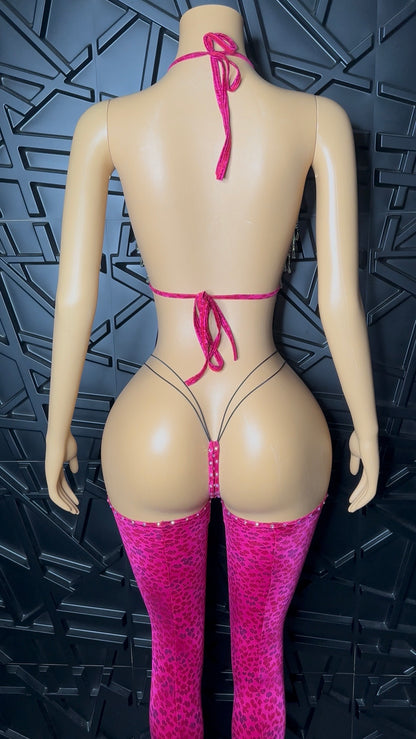 Cheetah Print Set (Small-Medium)