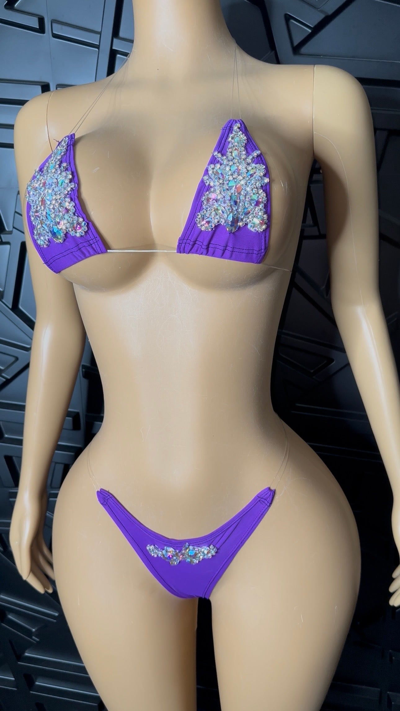 Purple Micro Bikini (XSmall-Medium)