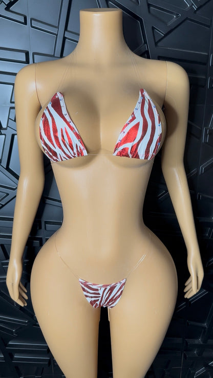 Red Micro Bikini (XS-Medium)