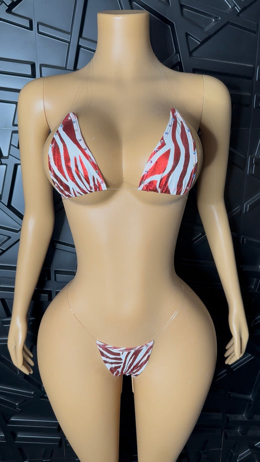 Red Micro Bikini (XS-Medium)