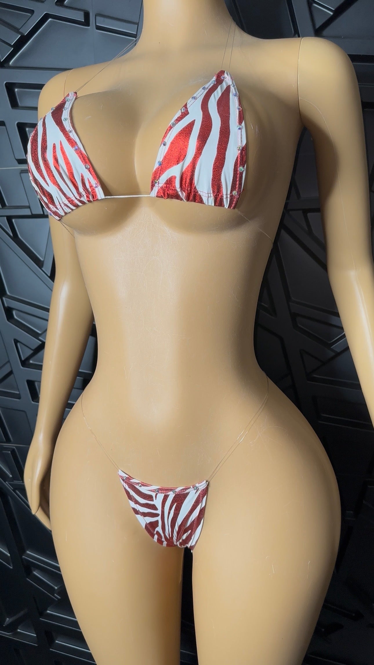 Red Micro Bikini (XS-Medium)
