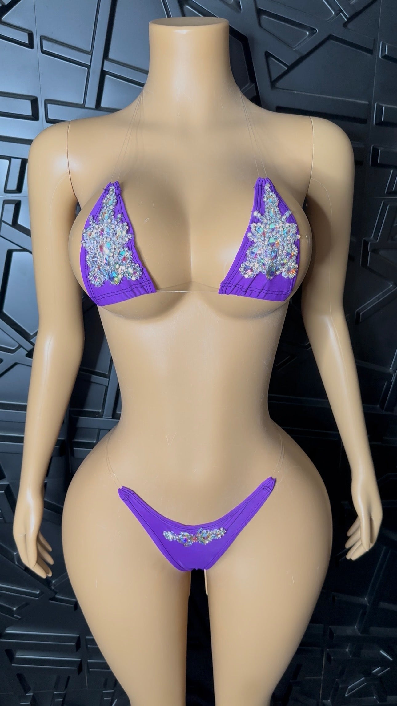 Purple Micro Bikini (XSmall-Medium)