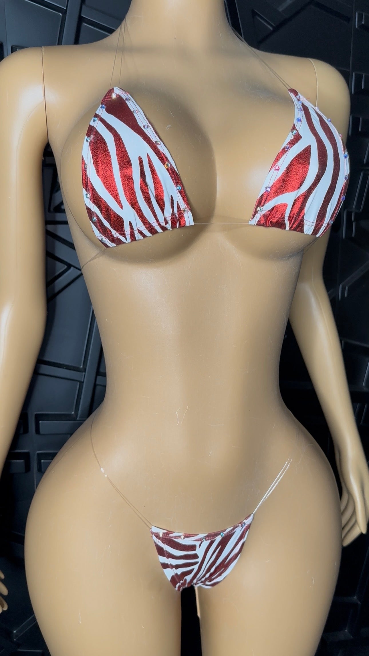 Red Micro Bikini (XS-Medium)